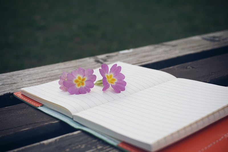 Mindful Journaling